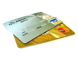 Image of Mastercard and Visa. PCvet is able to accept payment by major credit cards.